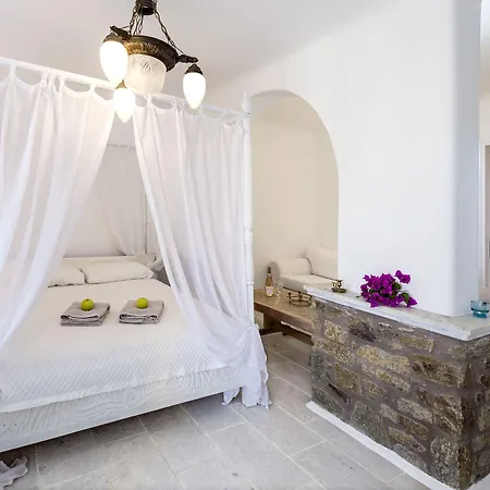 Mykonos Dream Hotel Ftelia (Mykonos)
