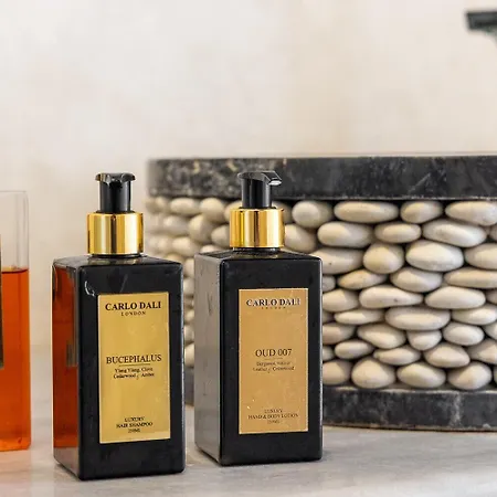 Hotel Mykonos Dream 4*