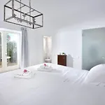 Mykonos Dream מלון 4*