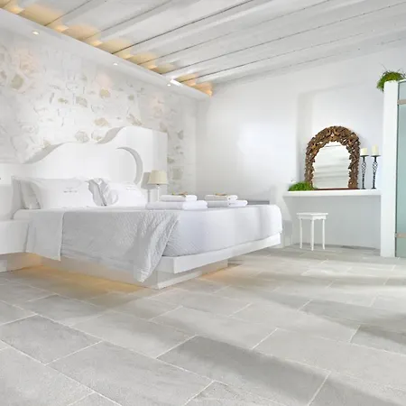 Hotel Mykonos Dream Ftelia (Mykonos)