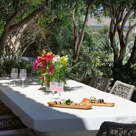 Mykonos Dream Ftelia (Mykonos)