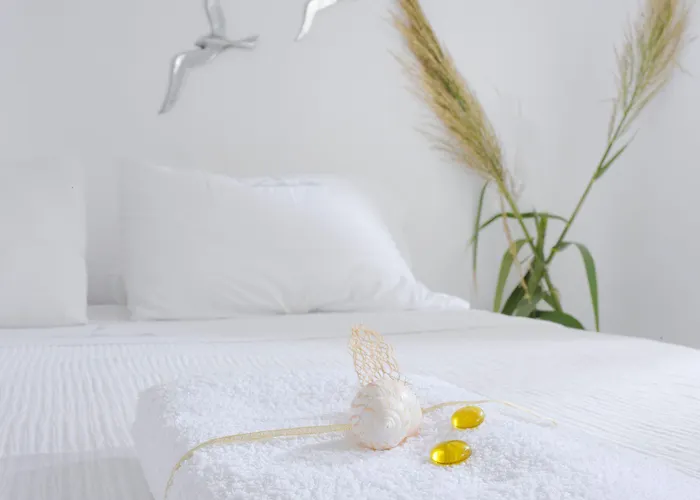 Ξενοδοχείο Mykonos Dream Φτελιά