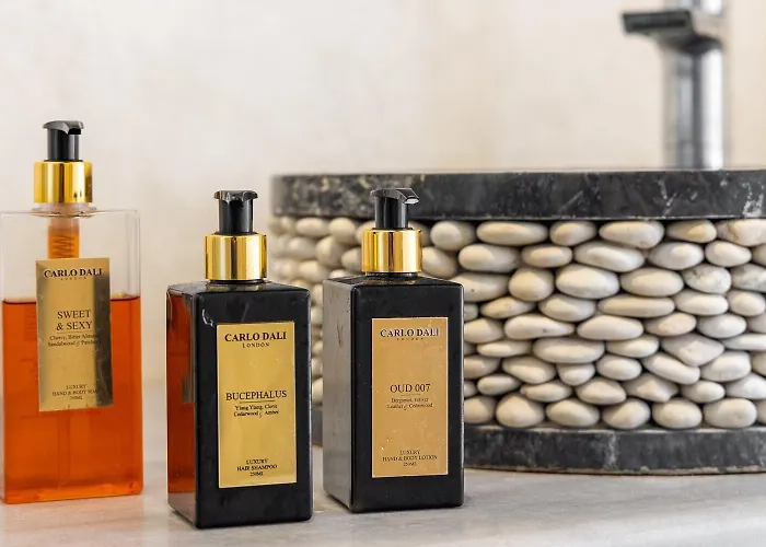 Ξενοδοχείο Mykonos Dream 4*